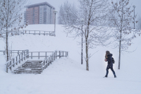МЧС: в Волгограде ожидаются неблагоприятные погодные условия