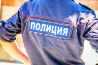 В Волгограде задержаны два молодых грабителя