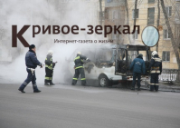 В Волгограде на ЦПКиО выгорела маршрутка
