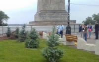 Севастопольскую набережную Волгограда украсили голубые ели
