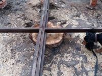 «Волгоградзеленхоз» вырубил деревья в центре города