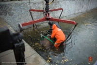 Сотрудники МЧС несколько часов спасали лося из столичного пруда в Вешняках
