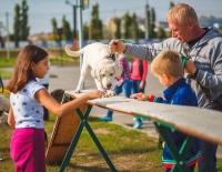 В Волгограде для любителей собак состоится «Лохматая уборка»