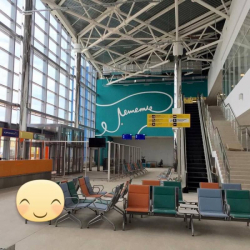 В новом терминале волгоградского аэропорта обрушился потолок