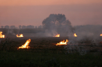  МЧС заявило о чрезвычайной пожароопасности в Волгоградской области