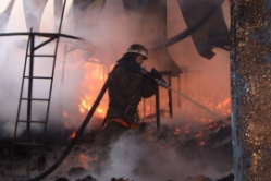 В Волгоградской области при пожаре сгорело 2 детей