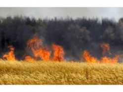 На севере Волгоградской области сохраняется чрезвычайная пожароопасность