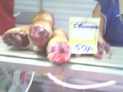 Сокрытие заболевания свиньи африканской чумой приравняют к терроризму