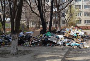 Управляющие компании оставили волгоградцев наедине с мусором во дворах