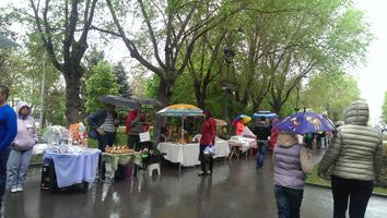 В Волгограде выставка мастеров накрылась дождевиками
