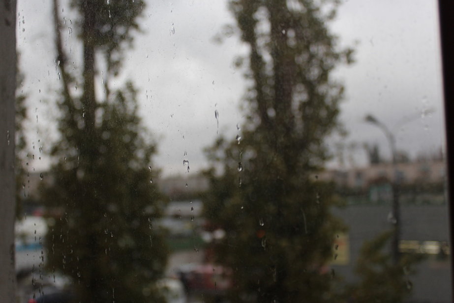 В Волгограде и области пройдут кратковременные дожди с грозами