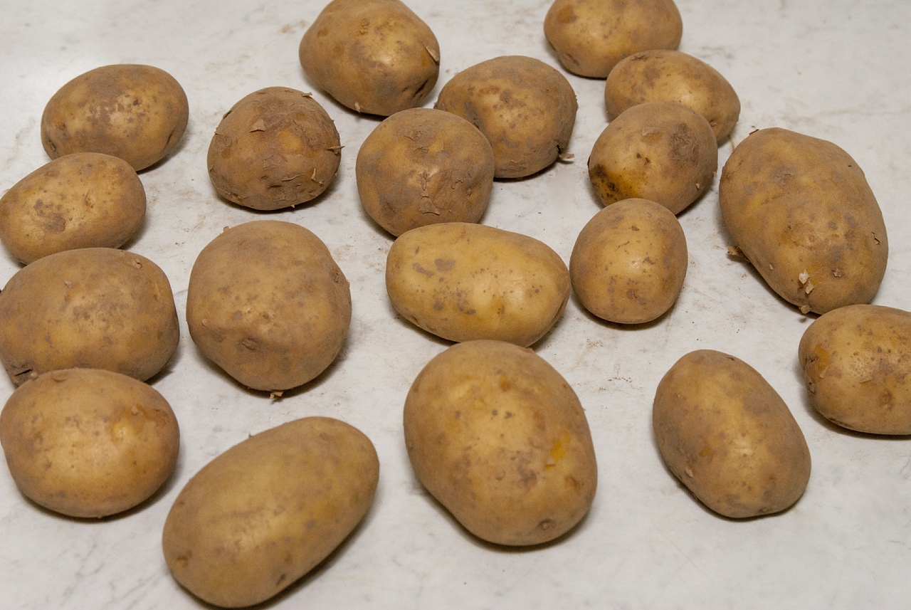 Приму картошку. Старый картофель. Молодая и Старая картошка. Игрушки из клубней картофеля. Картошка Старая на столе.