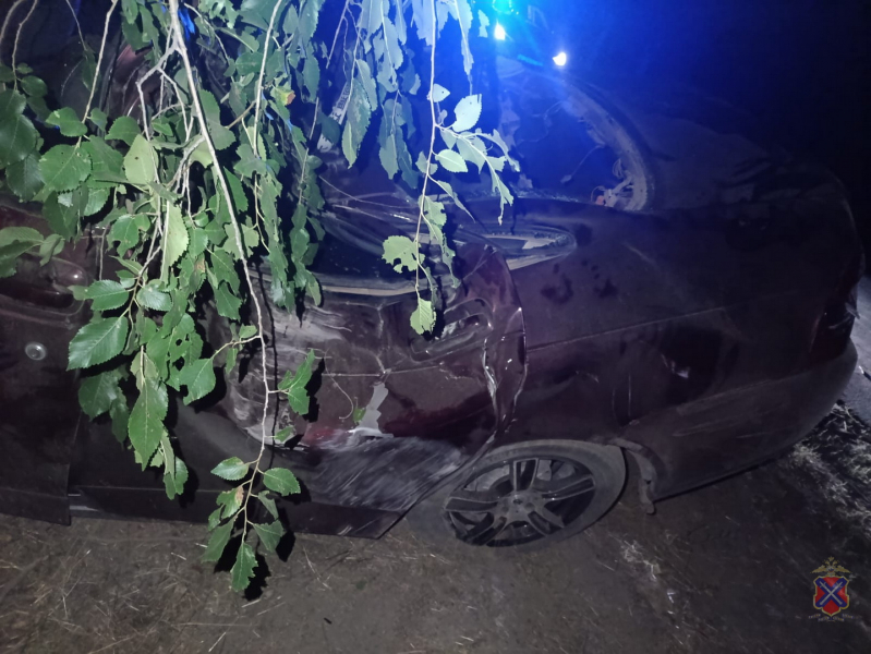 В Волжском водитель «Приоры» без автоправ таранил дерево: погиб пассажир, еще двое госпитализированы