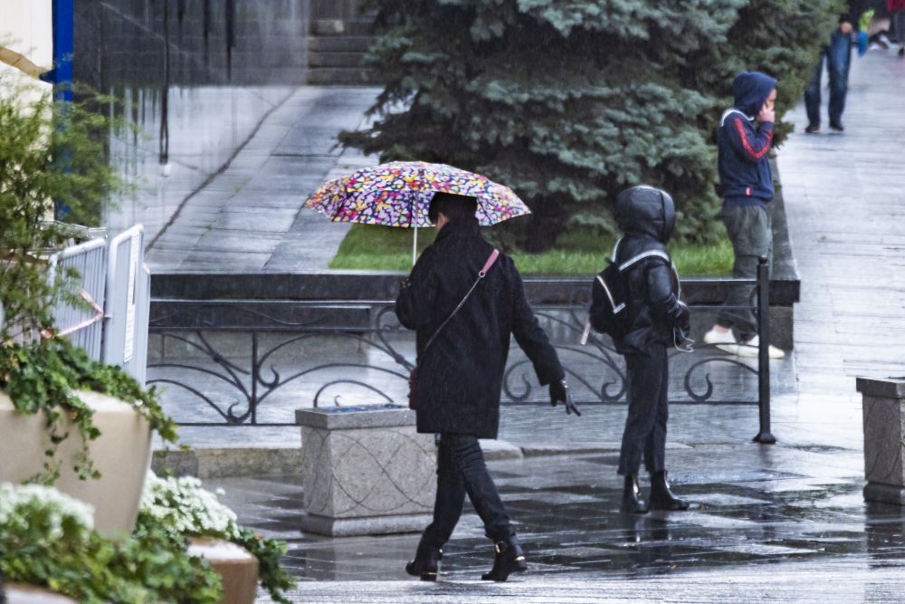 Дождь не прекращался ни на минуту. Дождливая погода. Небольшой дождь. Дождь в Москве. Дождливая погода фото.
