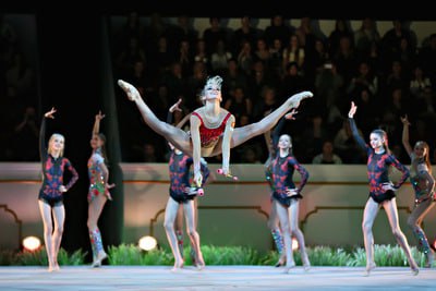 фото Всероссийская федерация художественной гимнастики