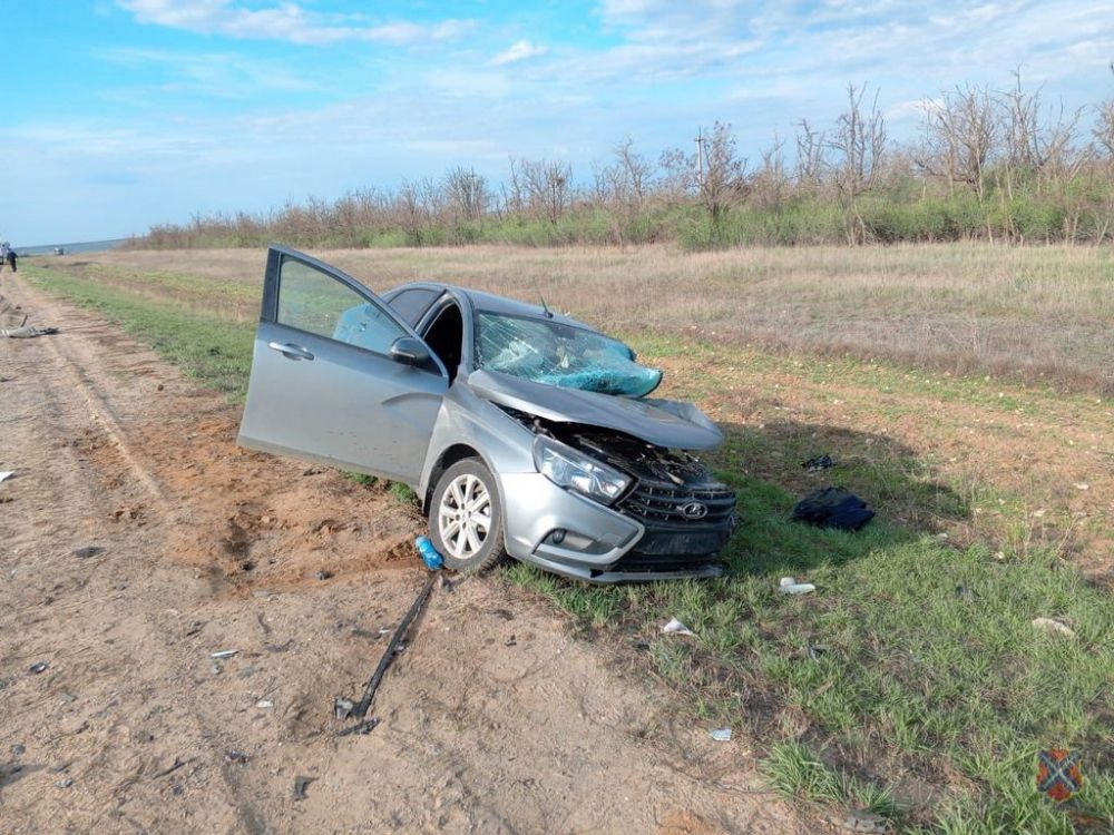 В Волгоградской области погибли водитель «Лады» и лежавший на дороге пенсионер