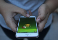 МВД, Pokemon Go