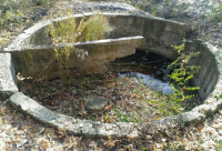 Родник жизни