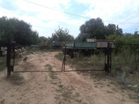 Волгоградский Горпитомник