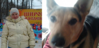 «Черные» коллекторы из-за 400 рублей жестоко отыгрались на собаке должницы