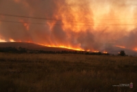 Волгоградские пожары попали на видео