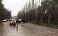 Под Волгоградом автоледи протаранила дерево: пострадал ребенок 