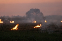 В Волгоградской области от пожара спасено 40 населенных пунктов