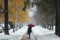 В выходные в Волгограде ожидается снег