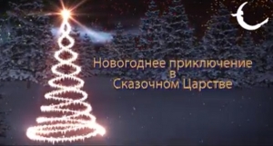 Максимально полная афиша новогодних мероприятий в Волгограде.