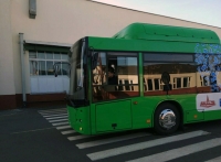 Волгоградские туристические автобусы примет участие в Всероссийском флешмобе