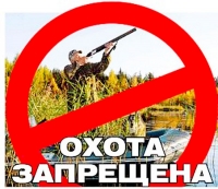 В Волгограде начал действовать запрет на охоту
