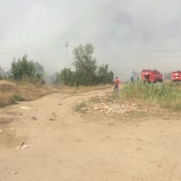 Волгоградцев напугал дым с пеплом в центре города