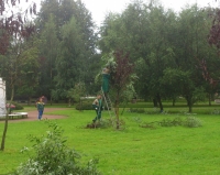 Питерские коммунальщики имитировали цветущий сад приклеив к сухостою скотчем зеленые ветки