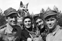 Российское военно-историческое обществ предложило сделать ремейк «Четырех танкистов и собаки»