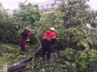 В Ульяновской области устраняют последствия урагана