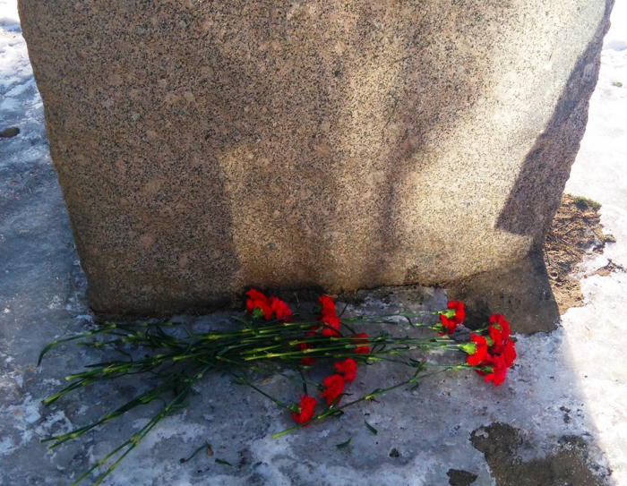 В Волгограде почтили память «солнца русской поэзии» - Пушкина