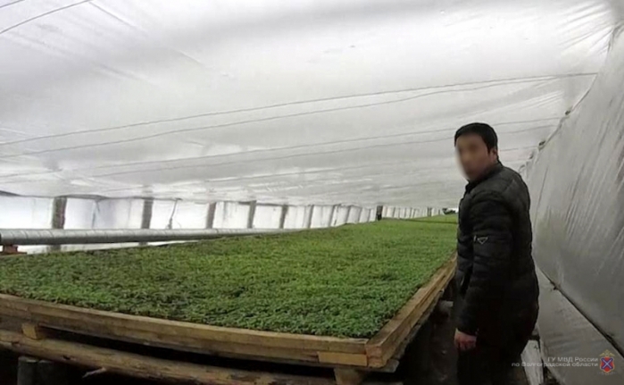 Депутаты озабочены повсеместным отравлением земель китайскими агрономами