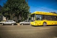 В Волгограде на 9 мая и в дни чемпионата пустят бесплатные автобусы