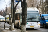 Автобусы «Питеравто» поедут из Волгограда в Волжский