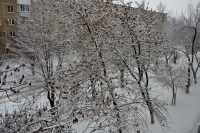 Мартовский снег укутал Волгоград