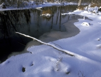 Река в Волгоградской области может выйти из берегов