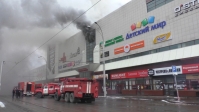 В результате пожара в ТЦ в Кемерово погибли 3 детей, женщина и весь контактный зоопарк