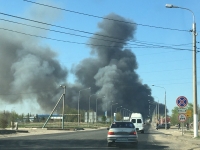 В Волгограде горит камыш и дачный массив