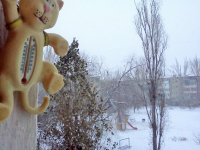 Жителей Волгограда и области ожидают метели и морозы до -22