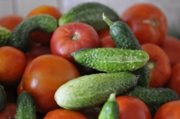 Россельхознадзор назвал условия поставок томатов из Турции