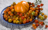 Поставщиков турецких томатов в России намерены проинспектировать