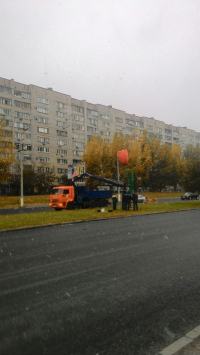 В Волгограде с улицы Хиросимы исчез пластиковый тюльпан-гигант