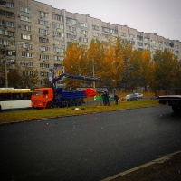 В Волгограде с улицы Хиросимы исчез пластиковый тюльпан-гигант