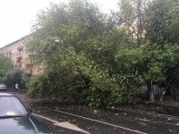 СК РФ сообщил окончательное число погибших в результате урагана в Москве