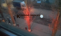 На юге Волгограда ветка от тополя рискует упасть на посетителей магазина